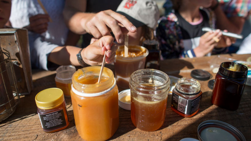 Sweet as!  Our fun and informative honey tasting will surely have you buzzing!